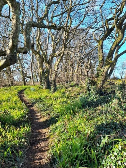 Cosy Country Getaway, 5 Mins From The Sea Villa Penzance Exteriör bild