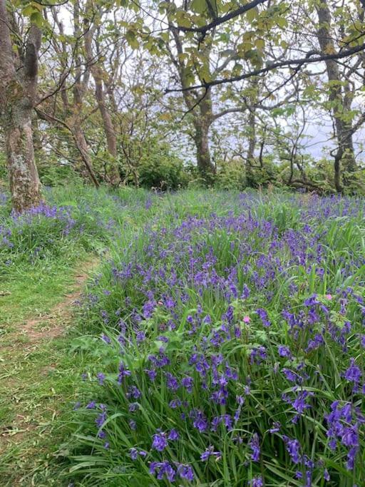 Cosy Country Getaway, 5 Mins From The Sea Villa Penzance Exteriör bild